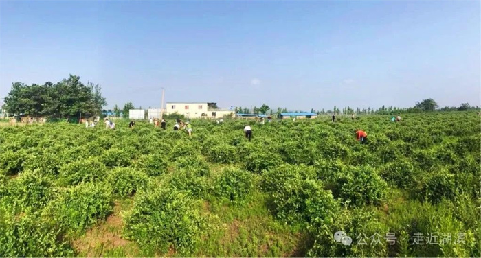 640 (1).jpg 640 (1).jpg